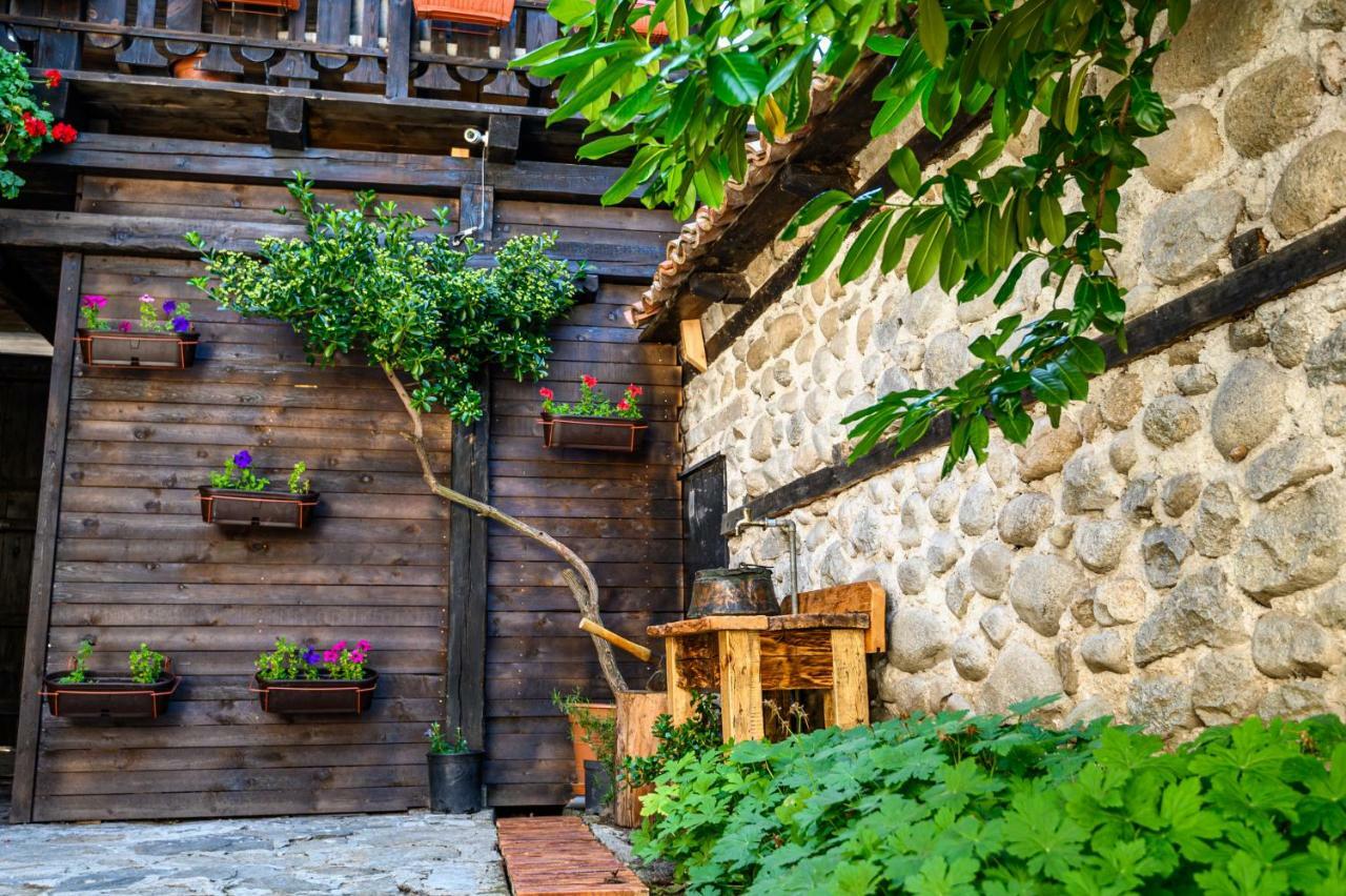 Banskovilla Zlateva House 외부 사진